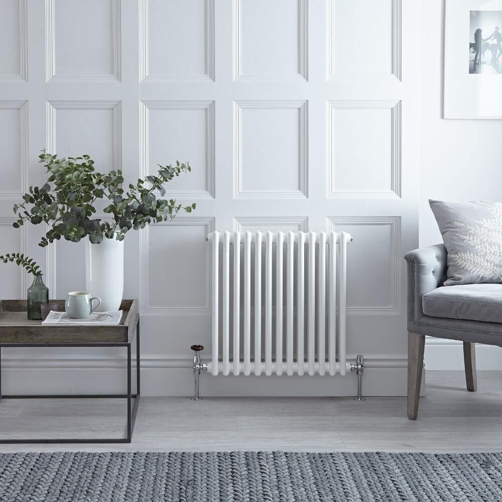 Regent - White Horizontal 2-Column Traditional Cast-Iron Style Radiator - 23.5" x 23.75"
