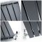 Sloane - Anthracite Vertical Double Flat-Panel Designer Radiator - 63" x 18.5"