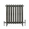 Charlotte - Ornate Cast Iron Radiator - 30.24" Tall - Antique Brass - Multiple Sizes Available