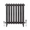 Charlotte - Ornate Cast Iron Radiator - 30.24" Tall - Slate Black - Multiple Sizes Available