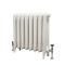 Erté - Oval Column Cast Iron Radiator - 22.05" Tall - Antique White - Multiple Sizes Available