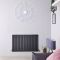 Sloane - Anthracite Horizontal Double Flat-Panel Designer Radiator - 25" x 39.25"
