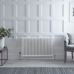 Regent - White Horizontal 2-Column Traditional Cast-Iron Style Radiator - 23.5" x 39.75"