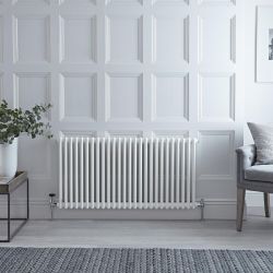 Regent - White Horizontal 2-Column Traditional Cast-Iron Style Radiator - 23.5" x 46.75"