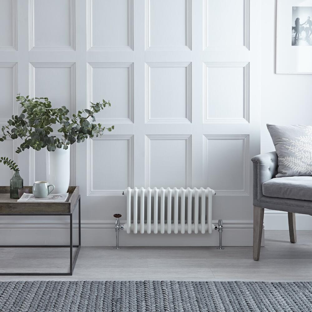 Regent - White Horizontal 2-Column Traditional Cast-Iron Style Radiator - 11.75" x 24"