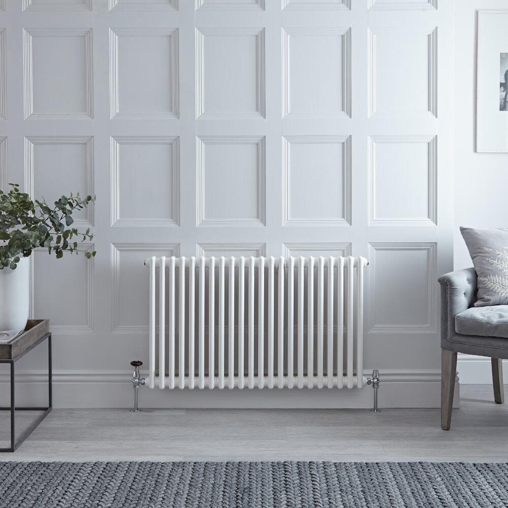Regent - White Horizontal 2-Column Traditional Cast-Iron Style Radiator - 23.5" x 40"