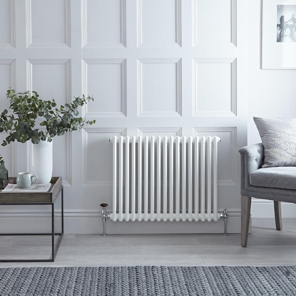 Regent - White Horizontal 2-Column Traditional Cast-Iron Style Radiator - 23.5" x 31"